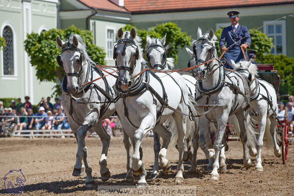 27.5.2017 - Den starokladrubského koně