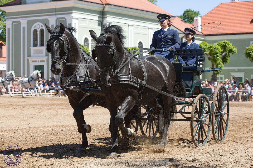 27.5.2017 - Den starokladrubského koně