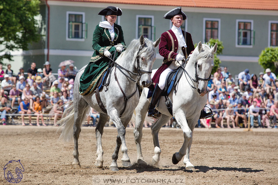 27.5.2017 - Den starokladrubského koně