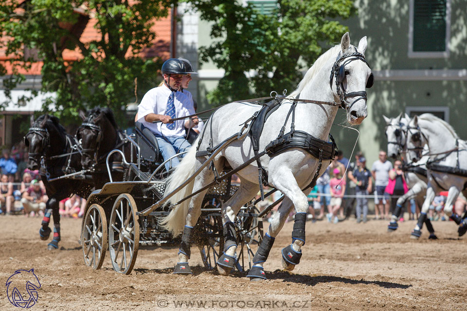 27.5.2017 - Den starokladrubského koně