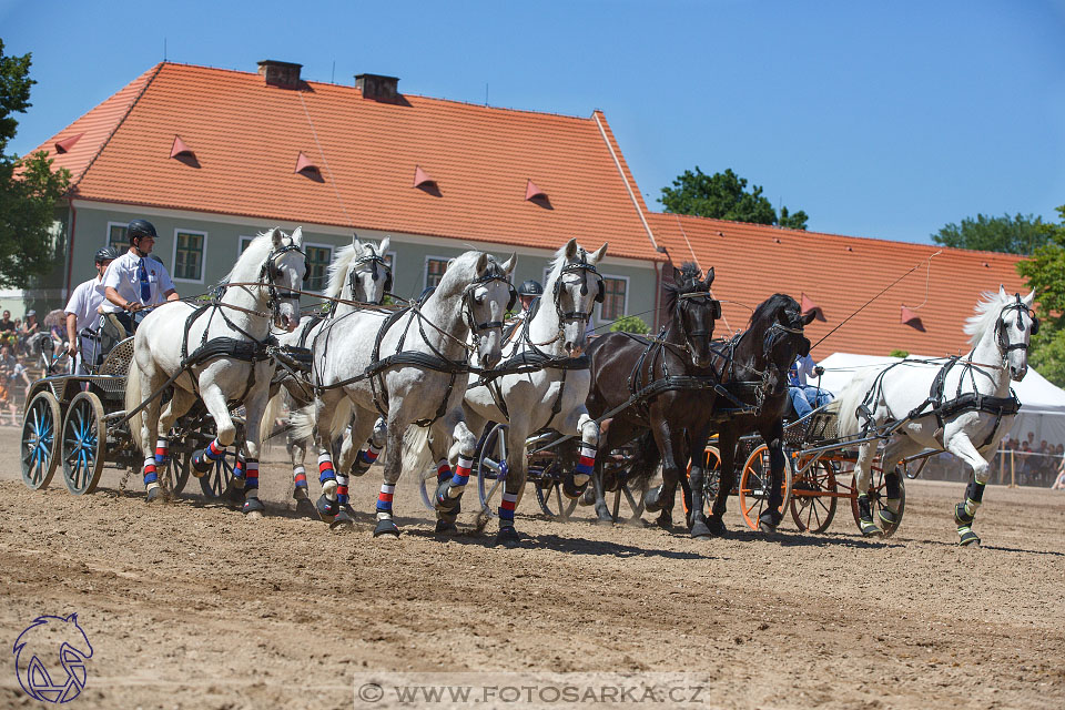 27.5.2017 - Den starokladrubského koně