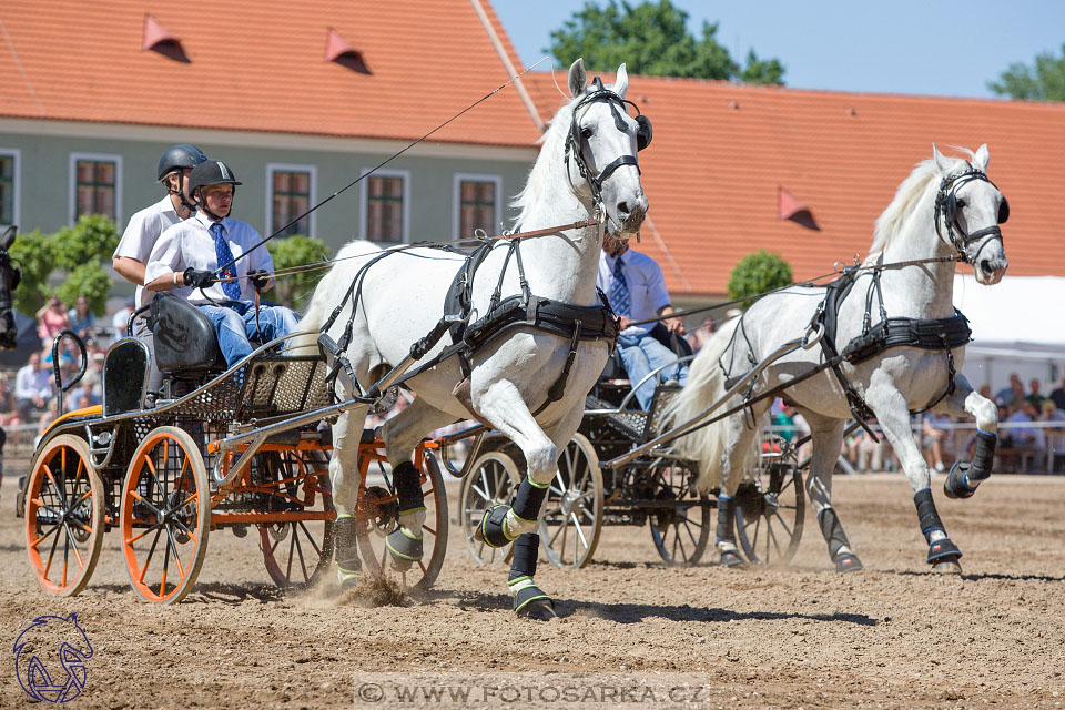 27.5.2017 - Den starokladrubského koně