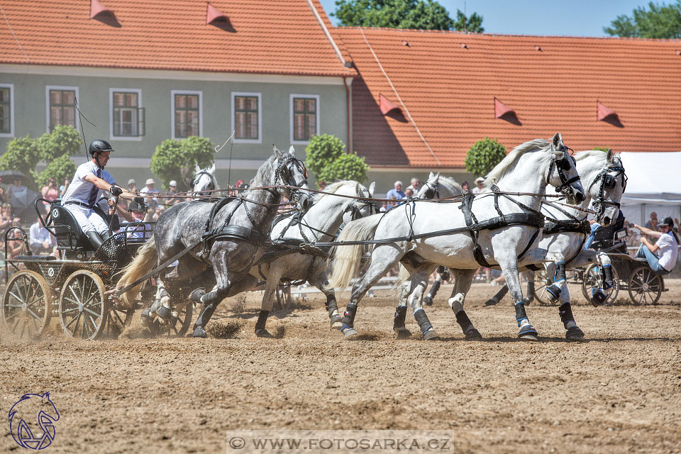 27.5.2017 - Den starokladrubského koně