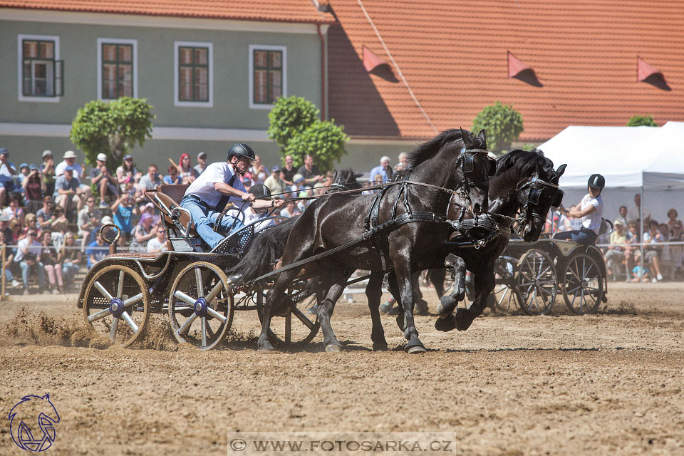 27.5.2017 - Den starokladrubského koně