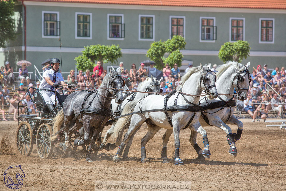 27.5.2017 - Den starokladrubského koně