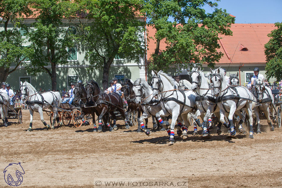 27.5.2017 - Den starokladrubského koně