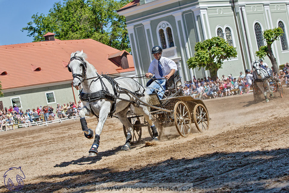 27.5.2017 - Den starokladrubského koně