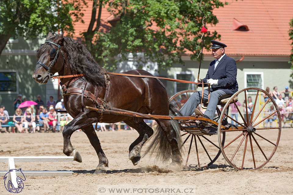 27.5.2017 - Den starokladrubského koně