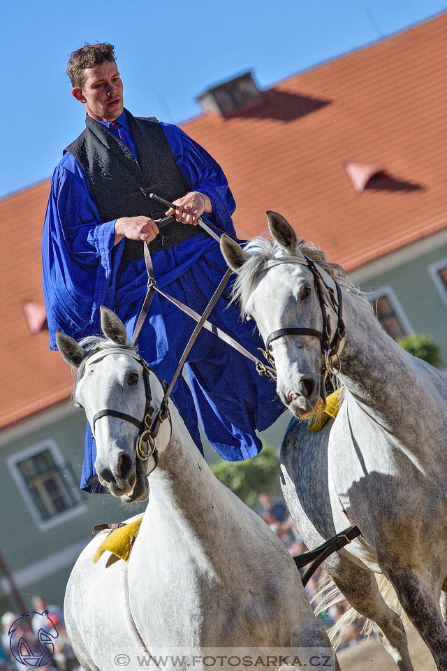 27.5.2017 - Den starokladrubského koně