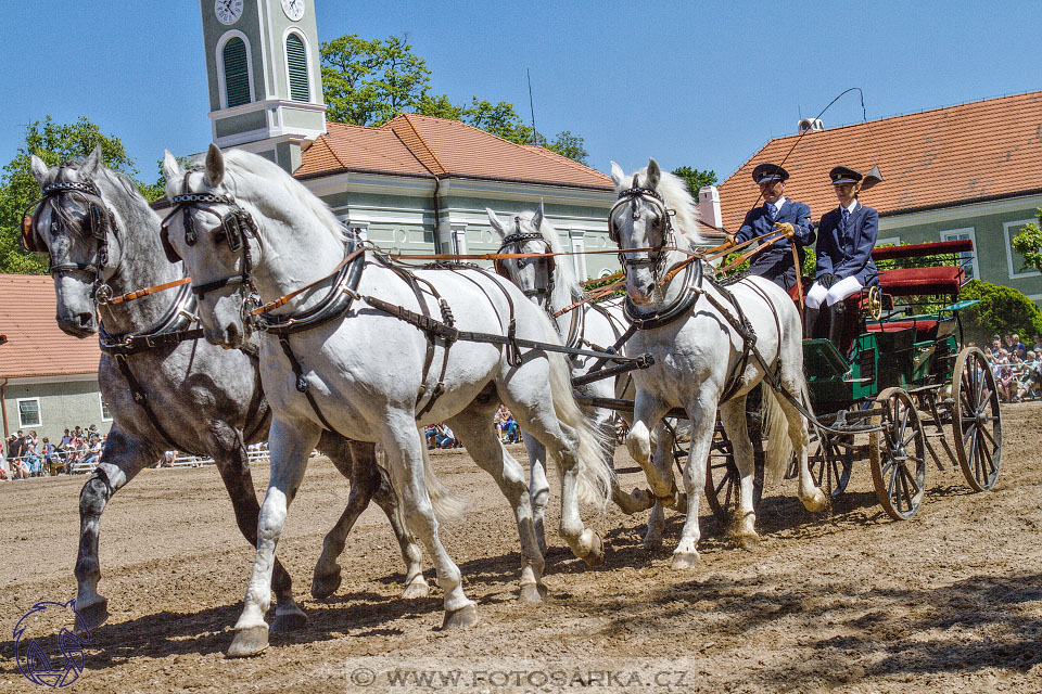 27.5.2017 - Den starokladrubského koně