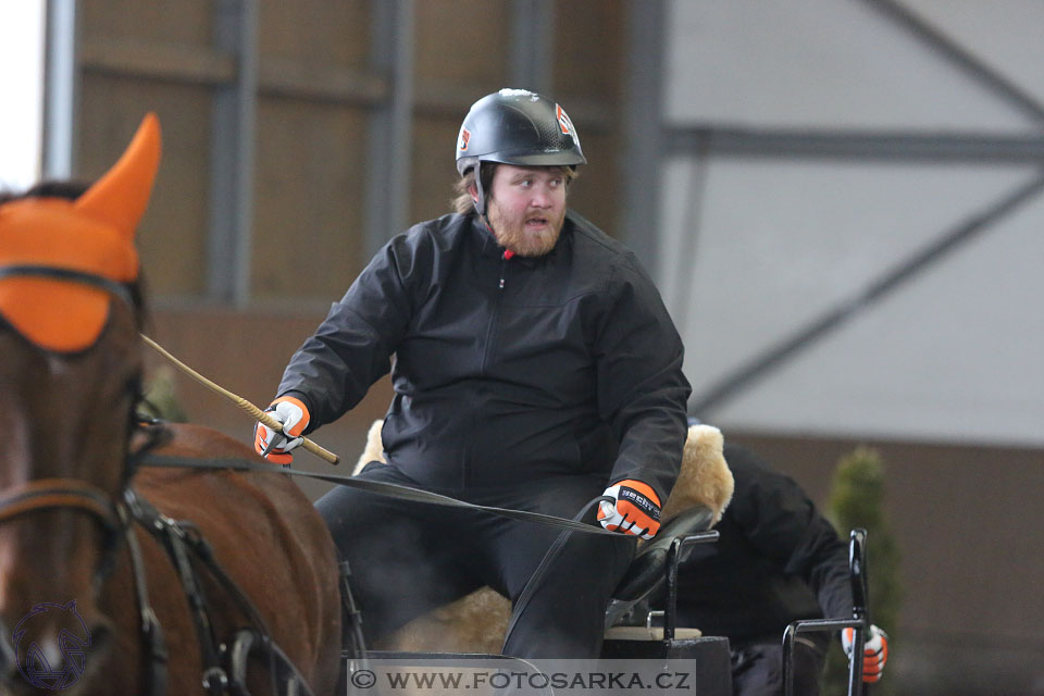 28.1.2017 - spřežení Hradištko