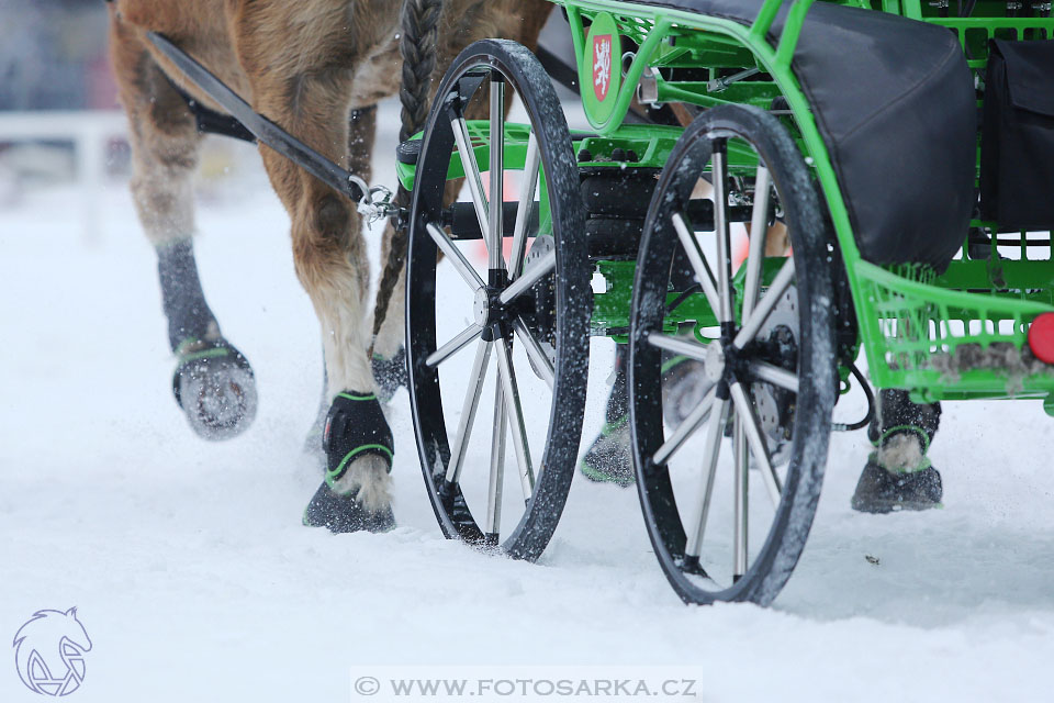 28.1.2017 - spřežení Hradištko