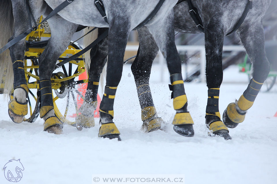 28.1.2017 - spřežení Hradištko