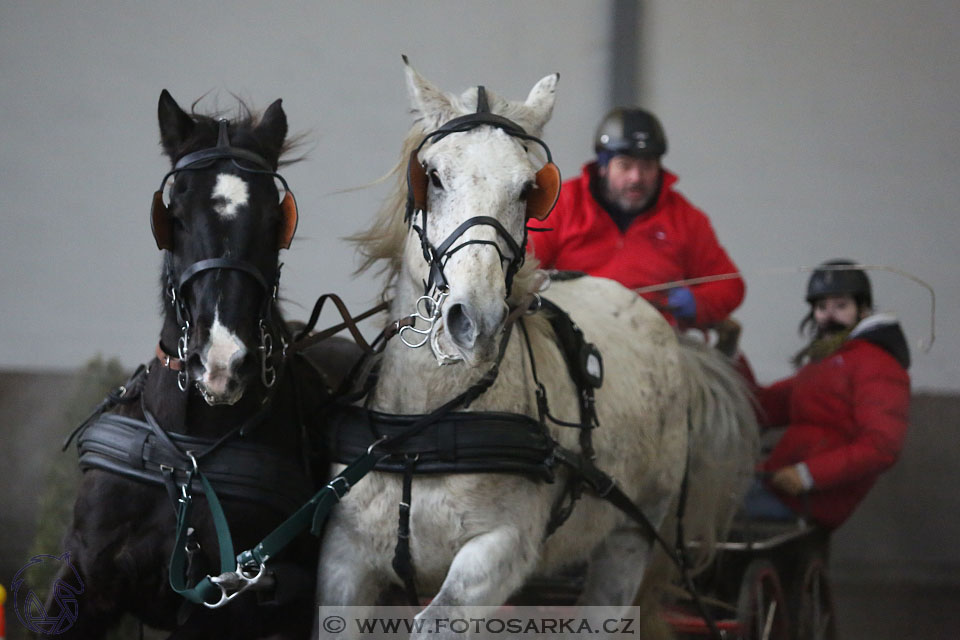 28.1.2017 - spřežení Hradištko