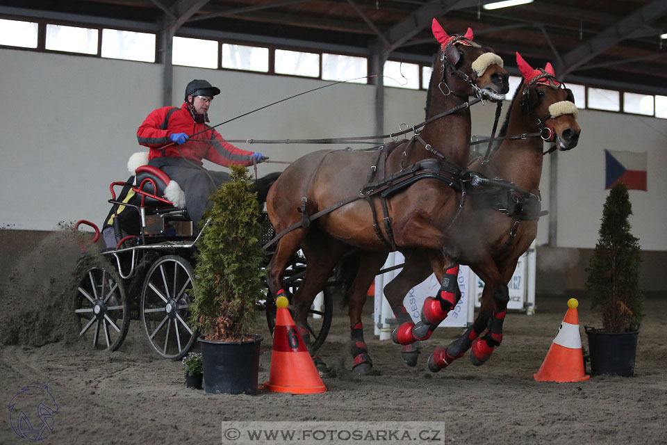 28.1.2017 - spřežení Hradištko