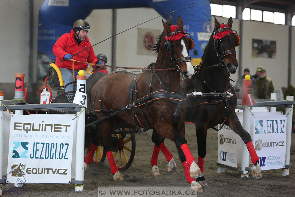 28.1.2017 - spřežení Hradištko