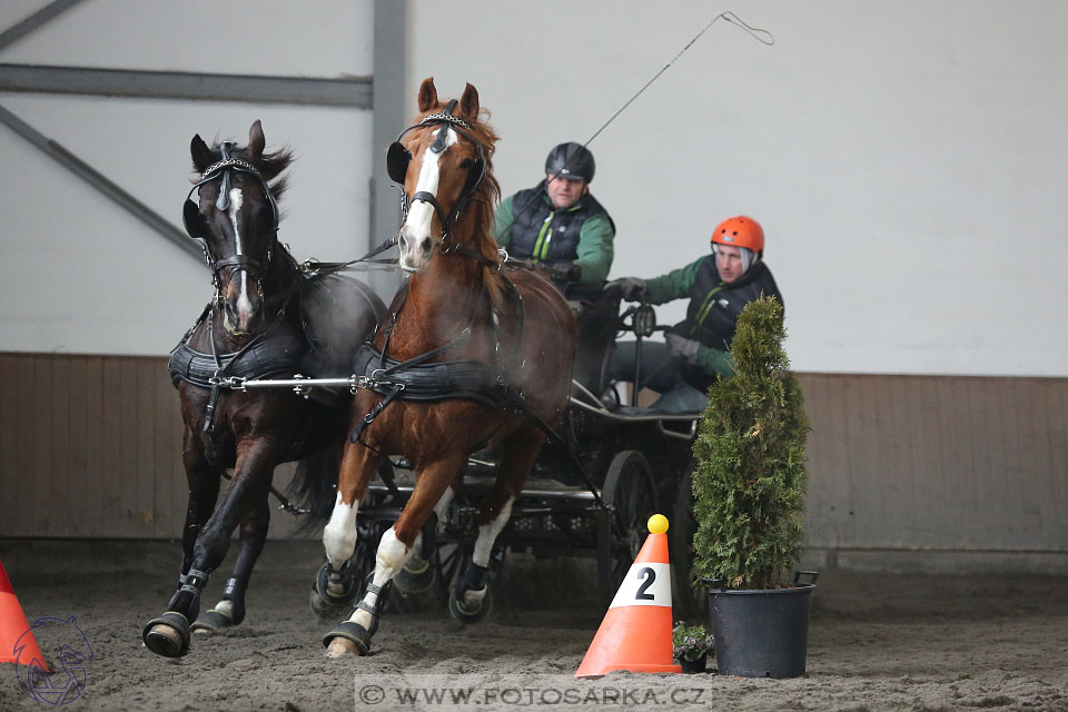 28.1.2017 - spřežení Hradištko