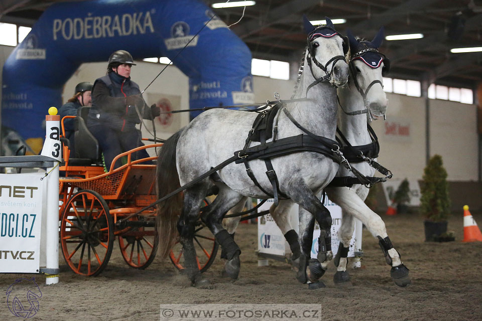 28.1.2017 - spřežení Hradištko