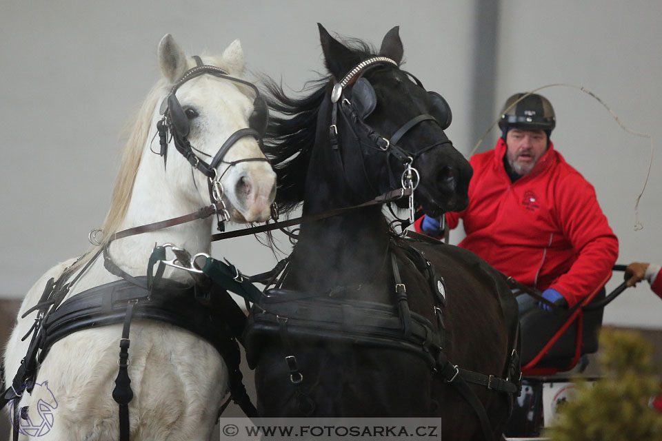 28.1.2017 - spřežení Hradištko