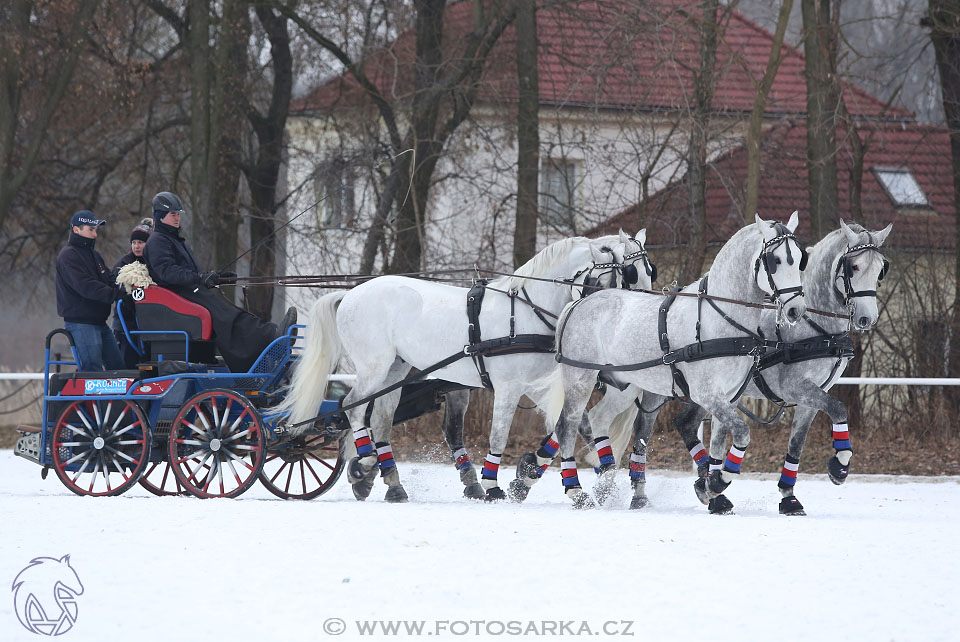 28.1.2017 - spřežení Hradištko