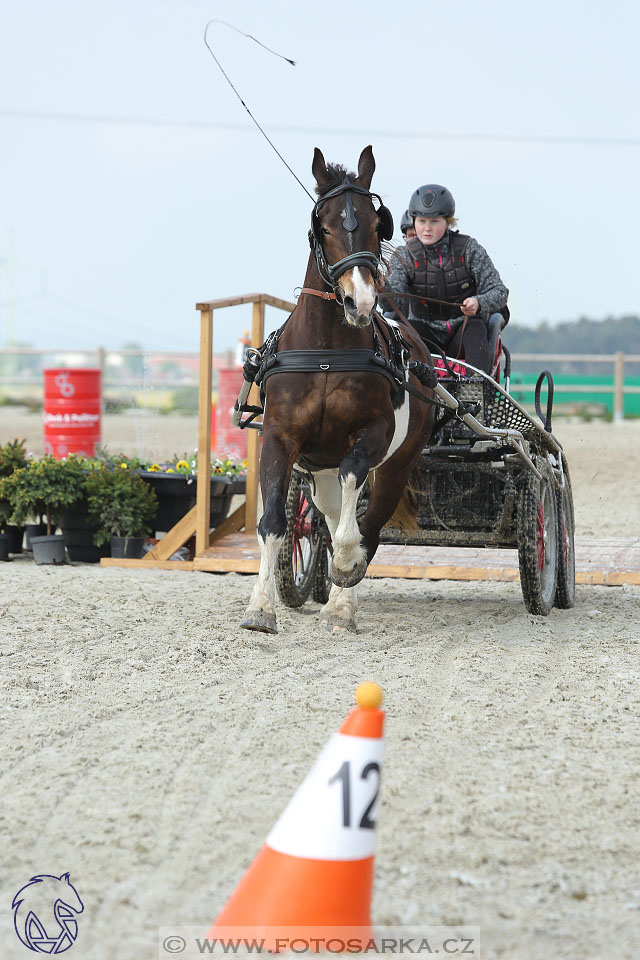 29.4.2017 - Wetbloc Cup