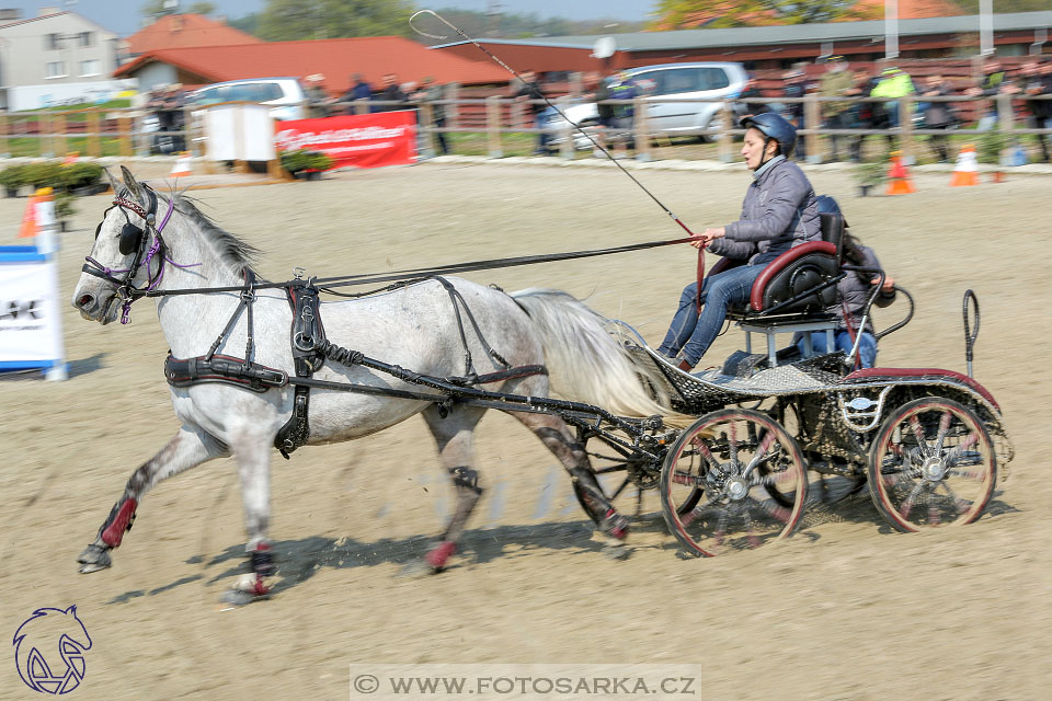 29.4.2017 - Wetbloc Cup