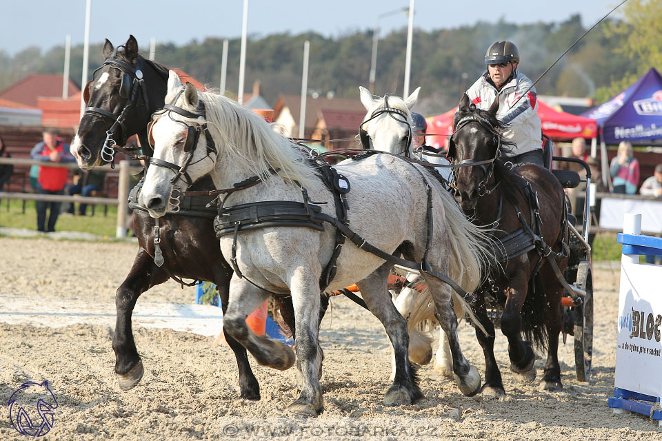 29.4.2017 - Wetbloc Cup