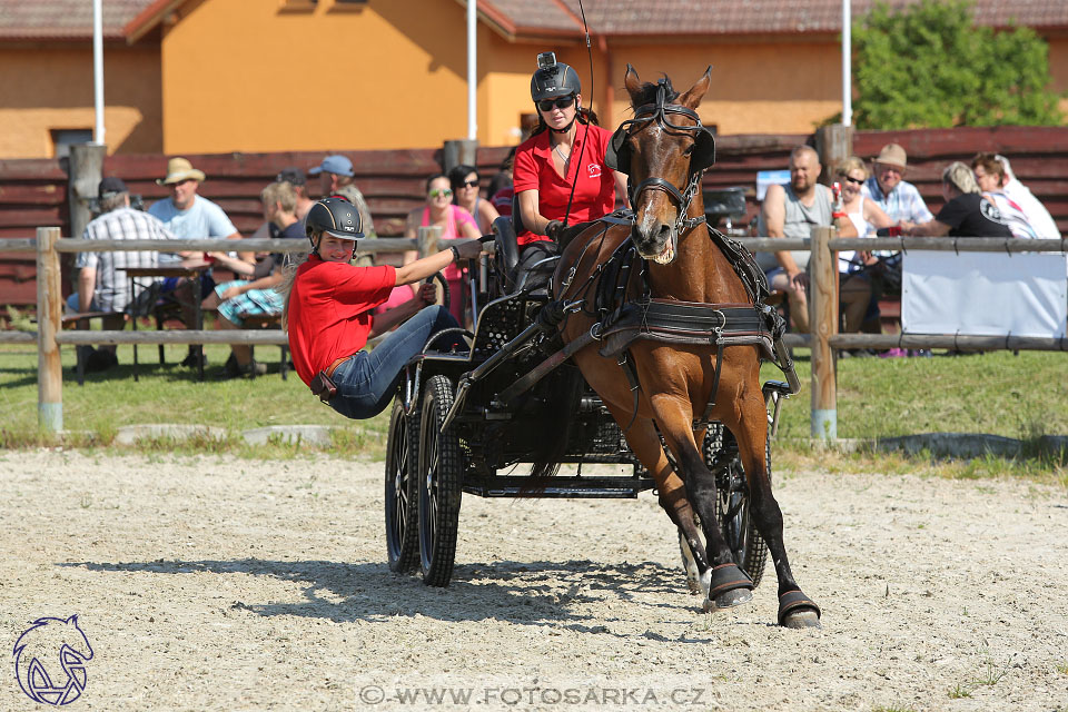 3.6.2017 - Wetbloc Cup 2.kolo