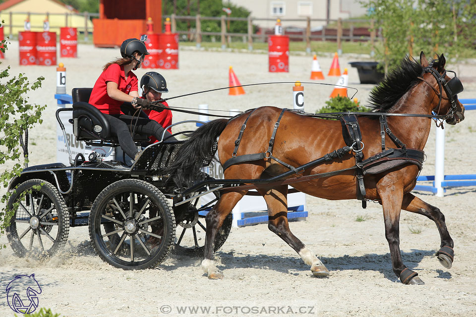 3.6.2017 - Wetbloc Cup 2.kolo