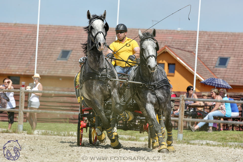 3.6.2017 - Wetbloc Cup 2.kolo