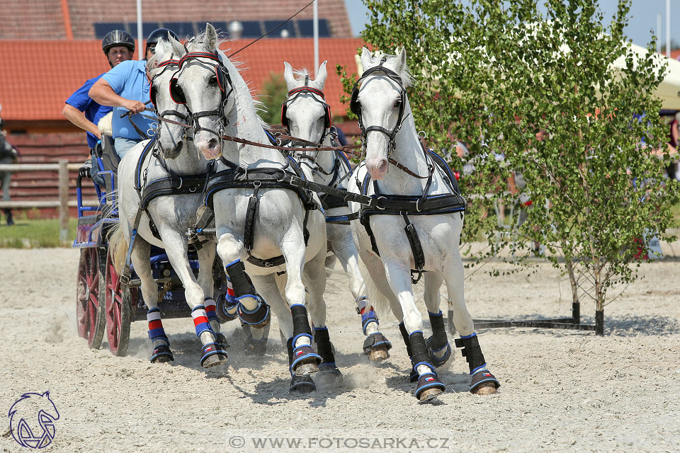 3.6.2017 - Wetbloc Cup 2.kolo