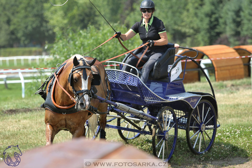 9.7.2017 - kvalifikace ZP Pardubice