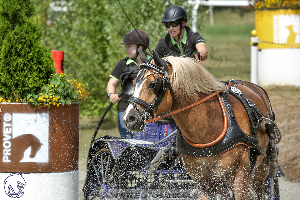 9.7.2017 - kvalifikace ZP Pardubice