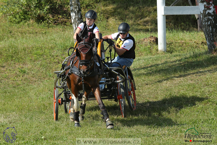 Altenfelden 2018 - maraton