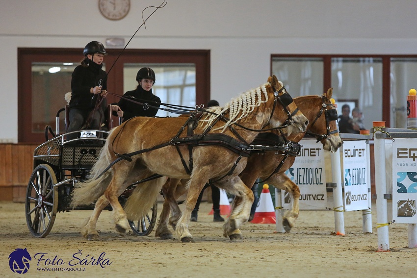 Brno 2019 - spřežení