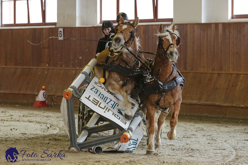 Brno 2019 - spřežení