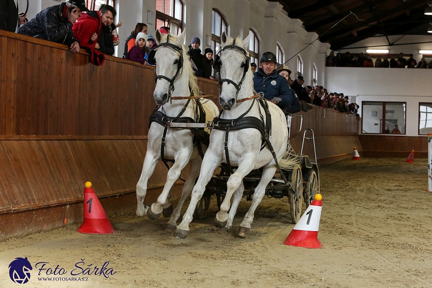 Brno 2019 - spřežení