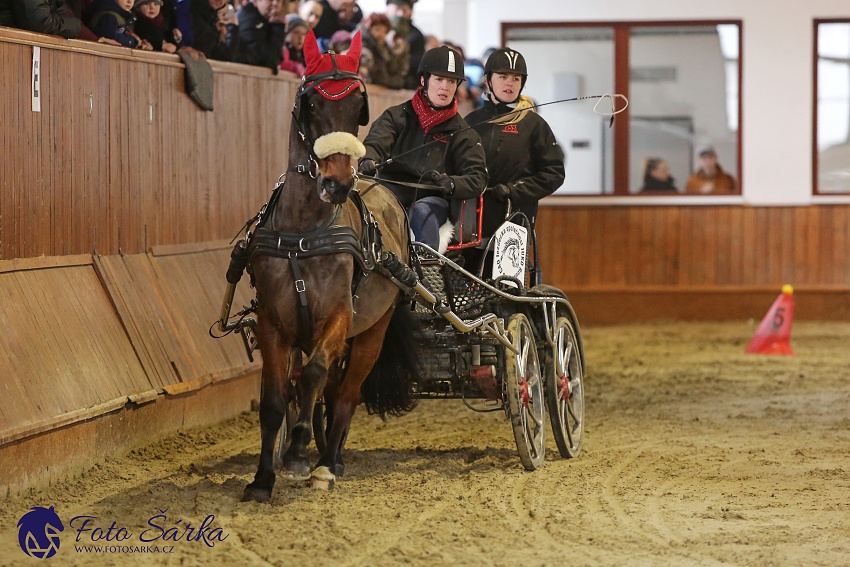 Brno 2019 - spřežení