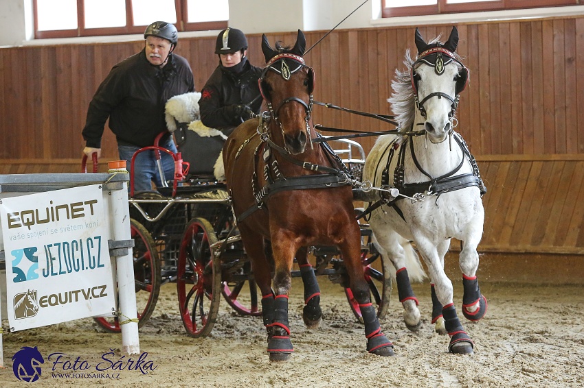 Brno 2019 - spřežení