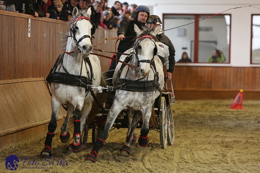 Brno 2019 - spřežení