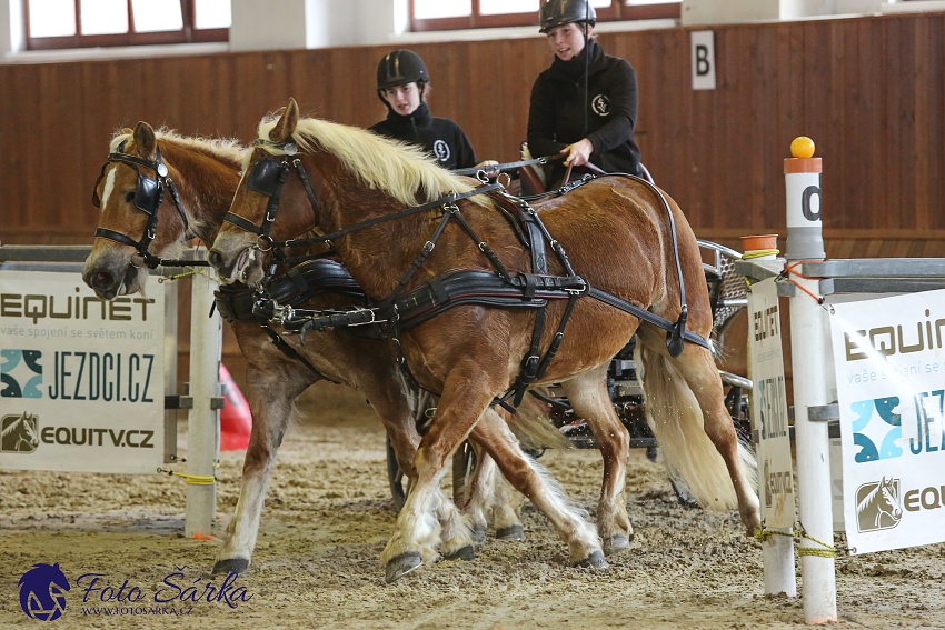 Brno 2019 - spřežení