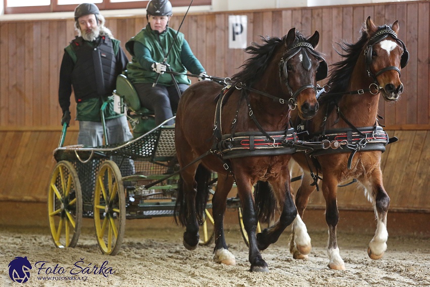 Brno 2019 - spřežení