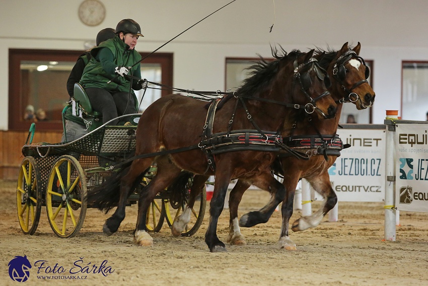 Brno 2019 - spřežení