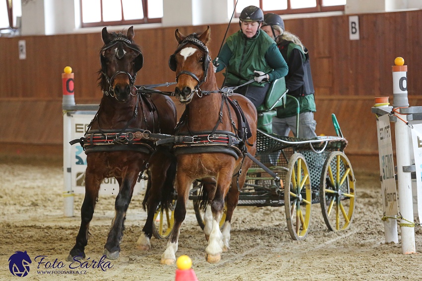 Brno 2019 - spřežení