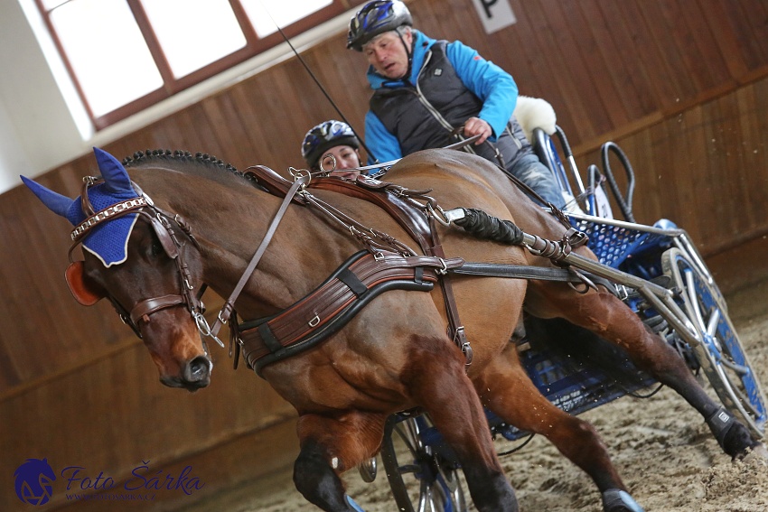 Brno 2019 - spřežení