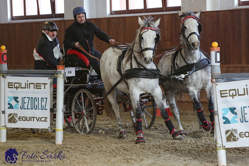 Brno 2019 - spřežení