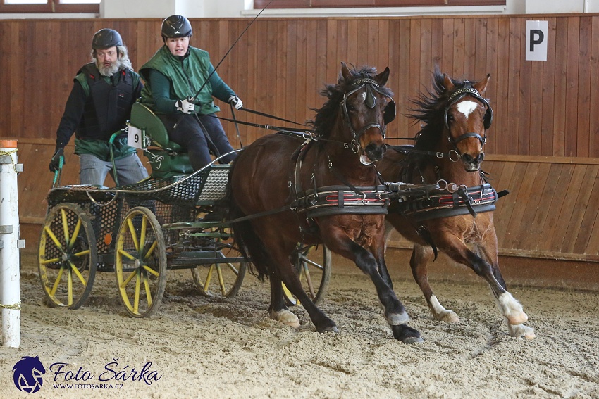 Brno 2019 - spřežení