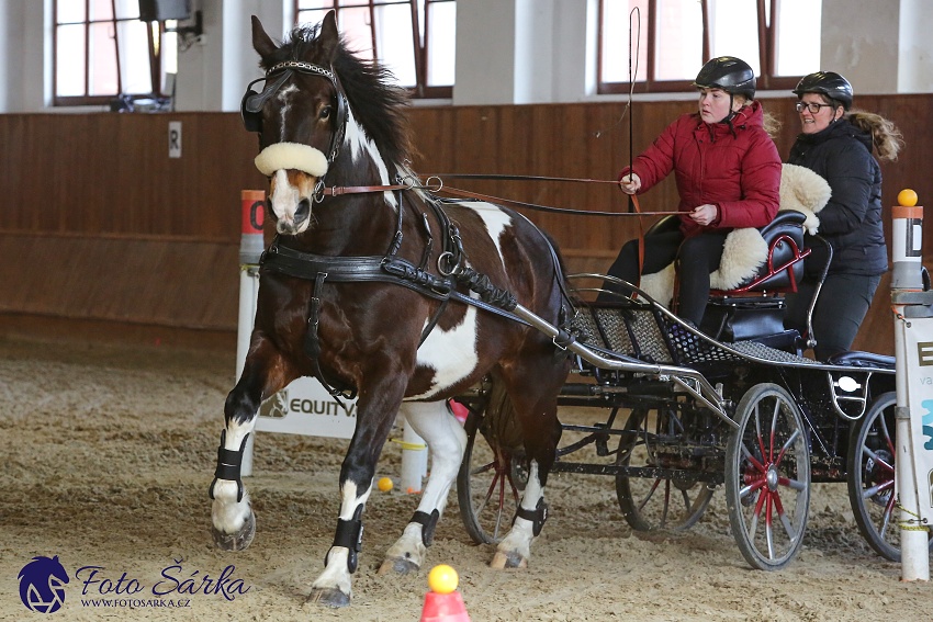 Brno 2019 - spřežení