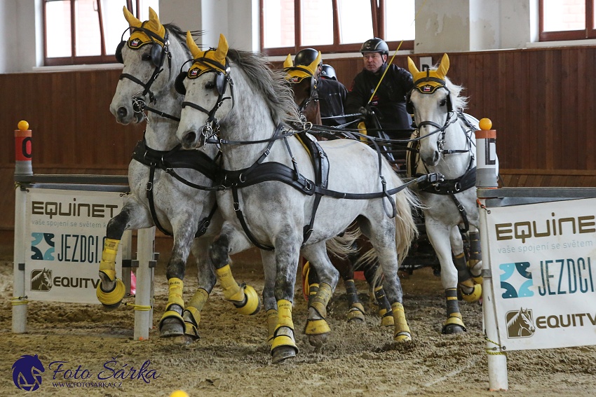 Brno 2019 - spřežení