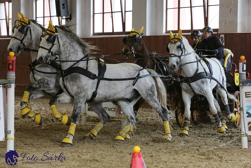 Brno 2019 - spřežení